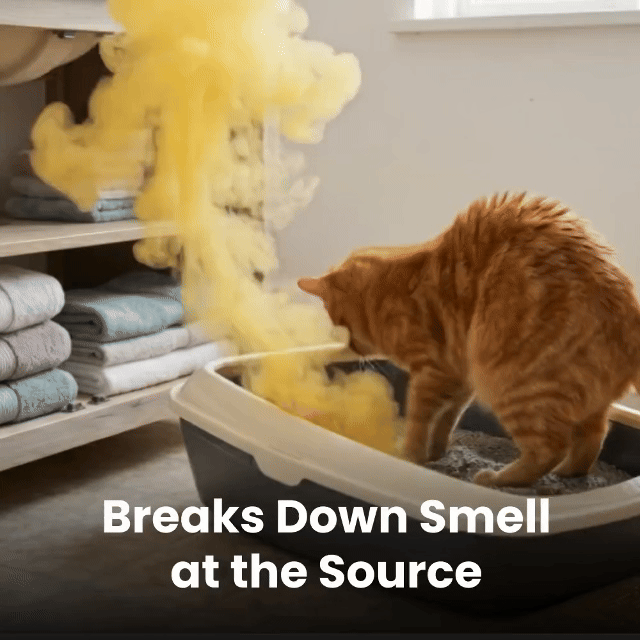 💨Eliminate Pet Smells In Under 24 Hours & Stop Them From Coming Back