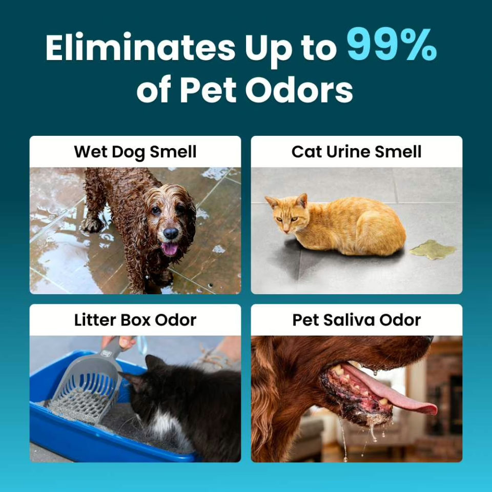 💨Eliminate Pet Smells In Under 24 Hours & Stop Them From Coming Back