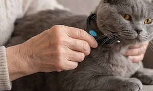 🐶 Double-Sided Pet Hair Remover – Say Goodbye to Hair Everywhere! 🔥( Today Only: 49% OFF) 🐾🐾