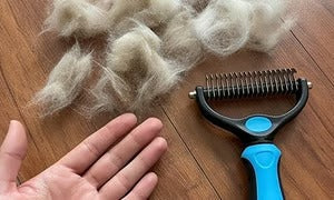 🐶 Double-Sided Pet Hair Remover – Say Goodbye to Hair Everywhere! 🔥( Today Only: 49% OFF) 🐾🐾