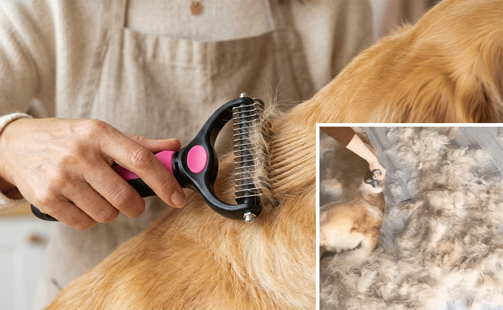 🐶 Double-Sided Pet Hair Remover – Say Goodbye to Hair Everywhere! 🔥( Today Only: 49% OFF) 🐾🐾