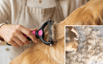 🐶 Double-Sided Pet Hair Remover – Say Goodbye to Hair Everywhere! 🔥( Today Only: 49% OFF) 🐾🐾